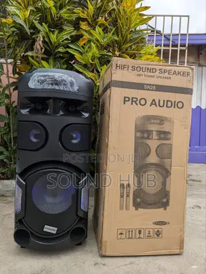 Powerful Sound Speaker With 2 Microphones