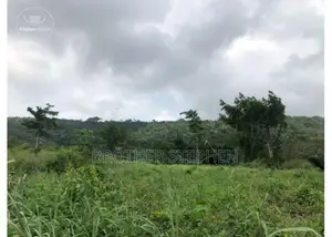 12,000 Acres of Farmland for Sale at Asamankese.