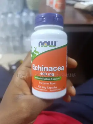Now Echinacea for Immune System Support