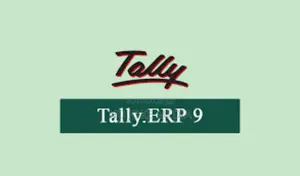Tally Erp 9