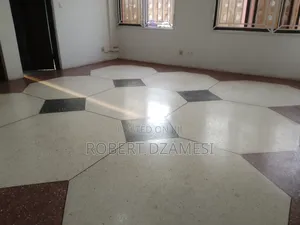 Terrazzo Polishing