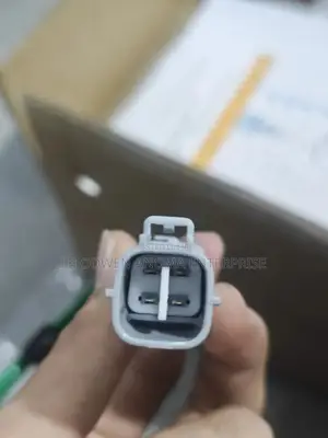 RAV4 2020 Oxygen Sensor and Temperature Sensors
