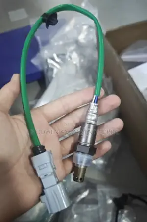 RAV4 2020 Oxygen Sensor and Temperature Sensors
