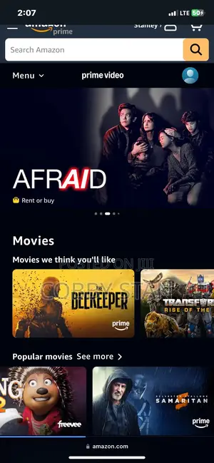 Amazon Prime Video and Netflix Account