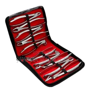 Dental Extraction Forcep 10 Pieces Stainless Steel