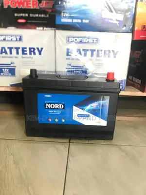 17 Plates Nord Batteries