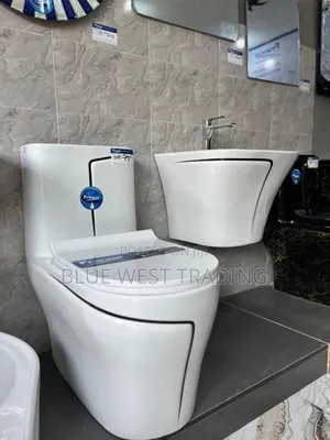 Frencia Black and White Combined Water Closet With Basin