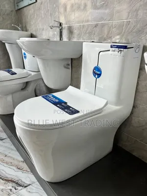Frencia Black and White Combined Water Closet With Basin