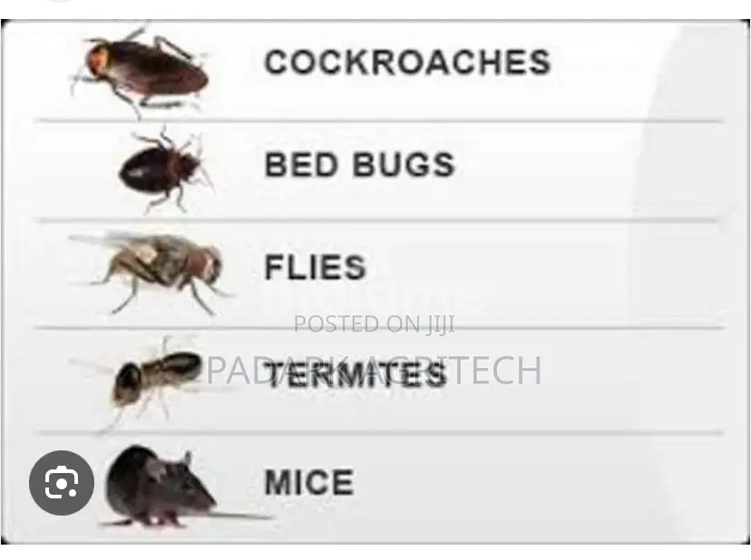 Pests Control Services