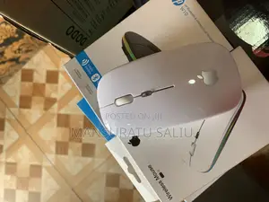 Apple Chargeable Wireless Mouse Fix Price