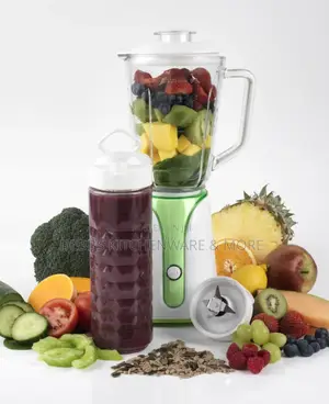 Salter 2 in 1 Blender