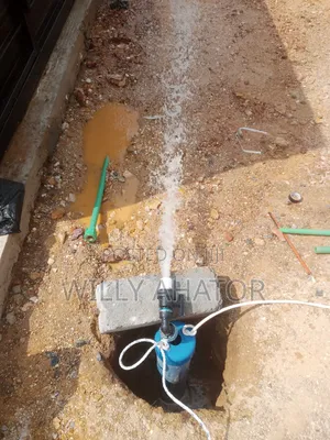 Willy's Borehole Drilling and Construction Company