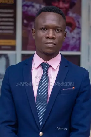 Accounting Finance CV