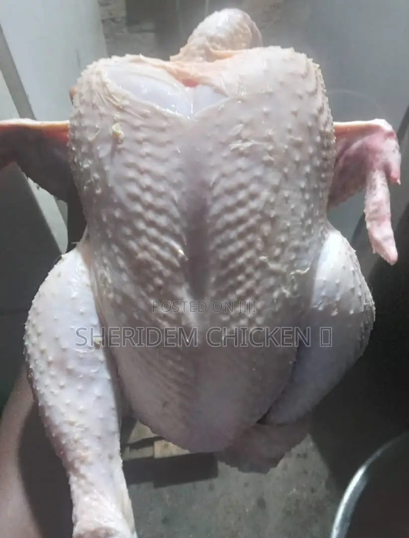 Hot Sale Broilers, Healthy, and Lively.