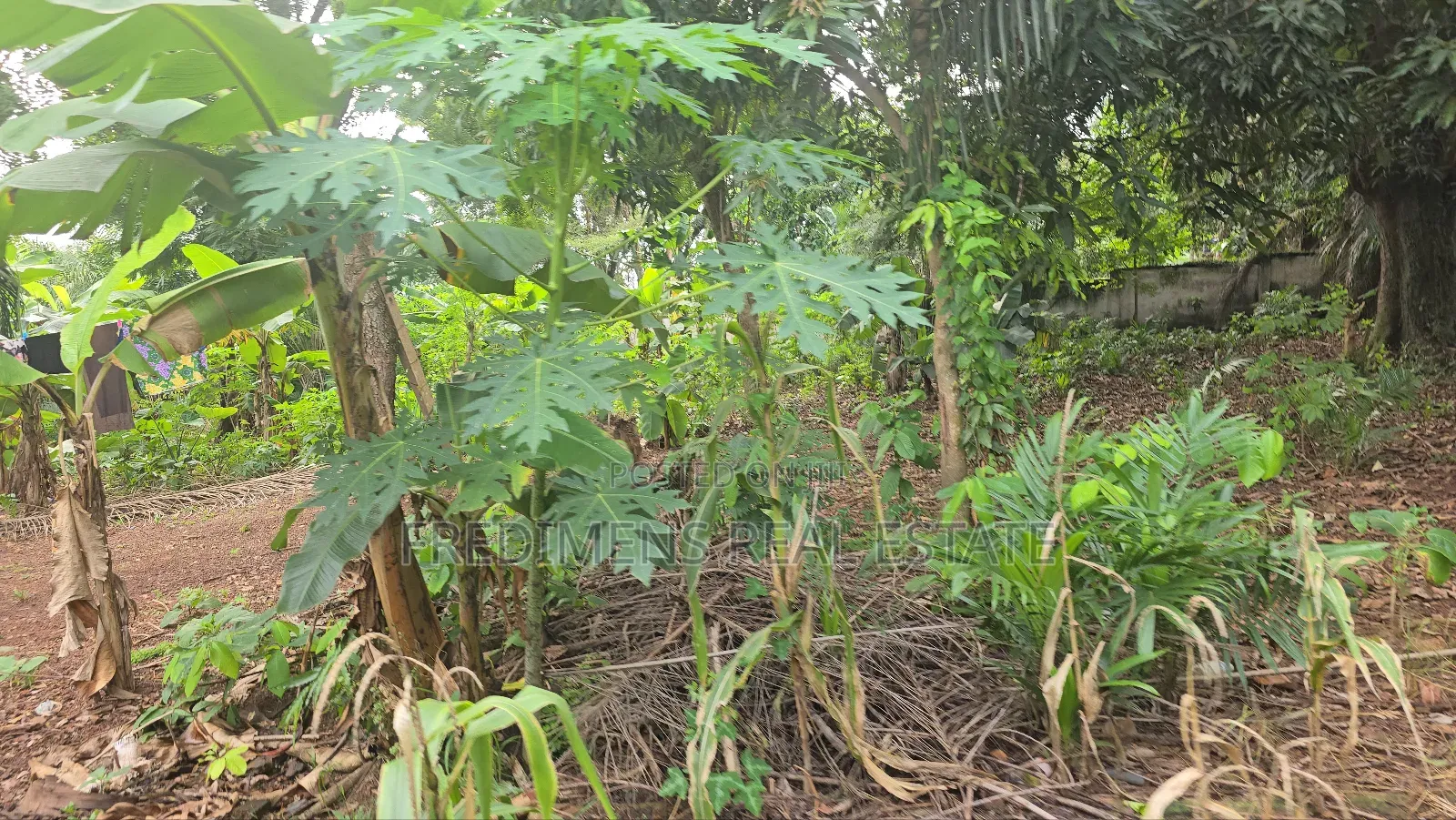 5bdrm House in Fredimens Real, Kumasi Metropolitan for sale