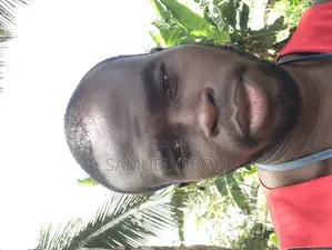 Manual Labour CV