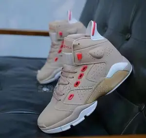 Air Jordan Sneaks