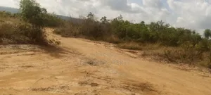 100 Acres of Land for Sale Located at Oyibi Saasabi Junction