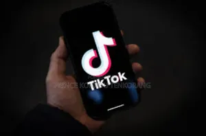 Tiktok Followers Promotion()
