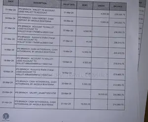 Verified and Authentic Bank Statement