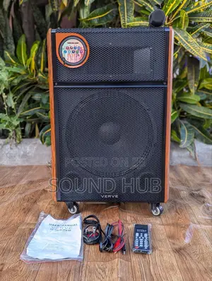 Professional Rechargeable Audio System With Microphone