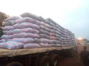 Both Yellow and White Maize Available in Large Quantities.