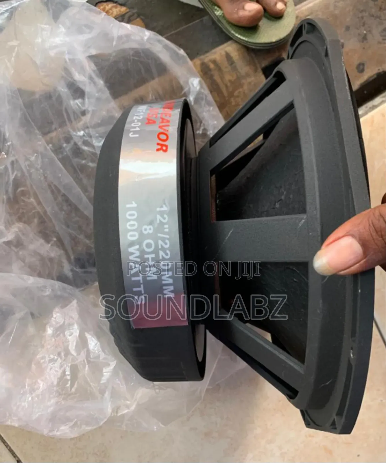 Endeavour 12inches Naked Speaker (Double Magnet)