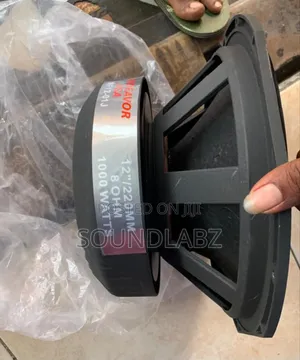 Endeavour 12inches Naked Speaker (Double Magnet)