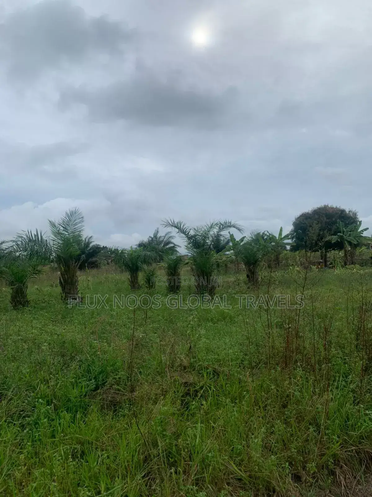 Plots of Lands for Sale. Indenture of for You.