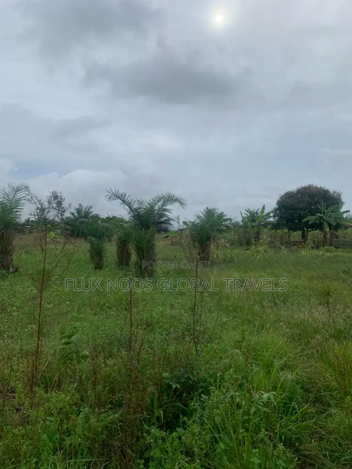 Plots of Lands for Sale. Indenture of for You.