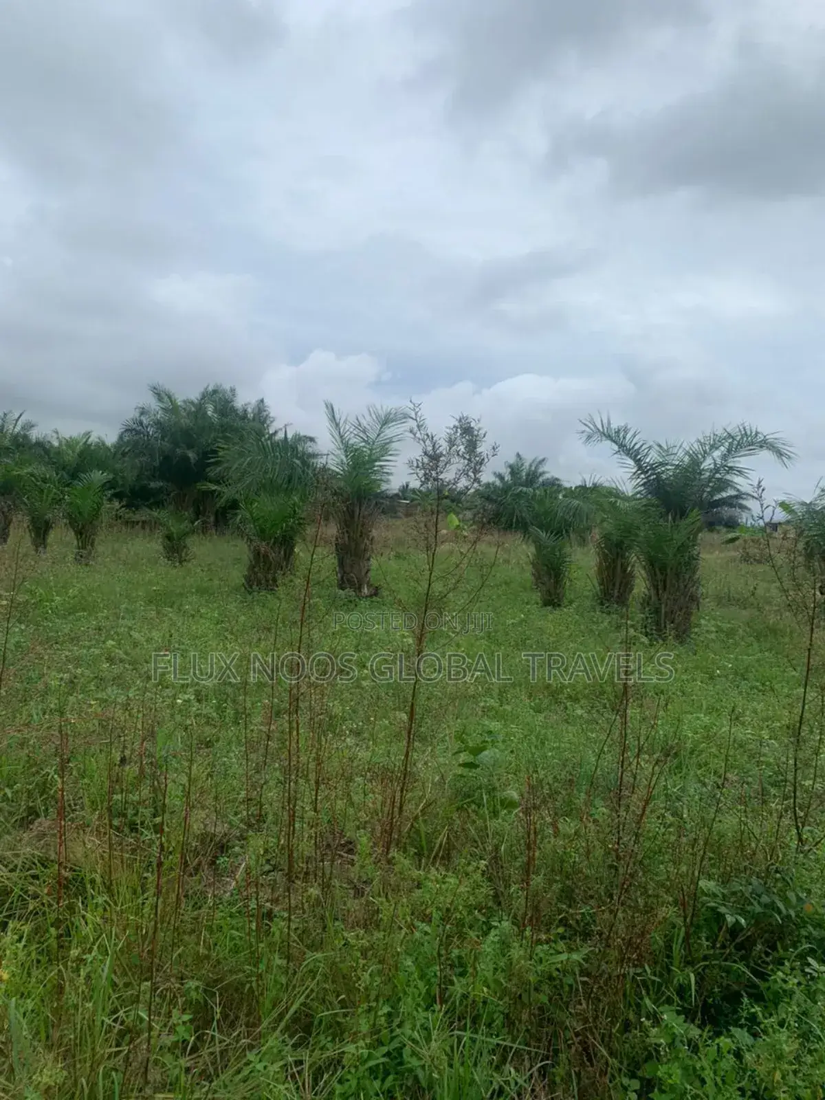 Plots of Lands for Sale. Indenture of for You.
