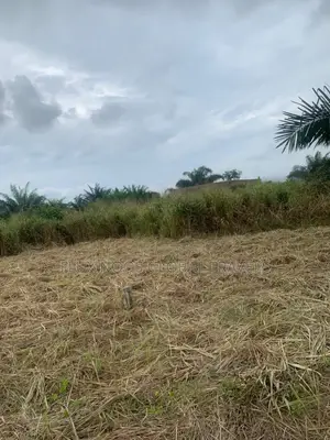 Titled Acres Lands Forsale at Amasaman.