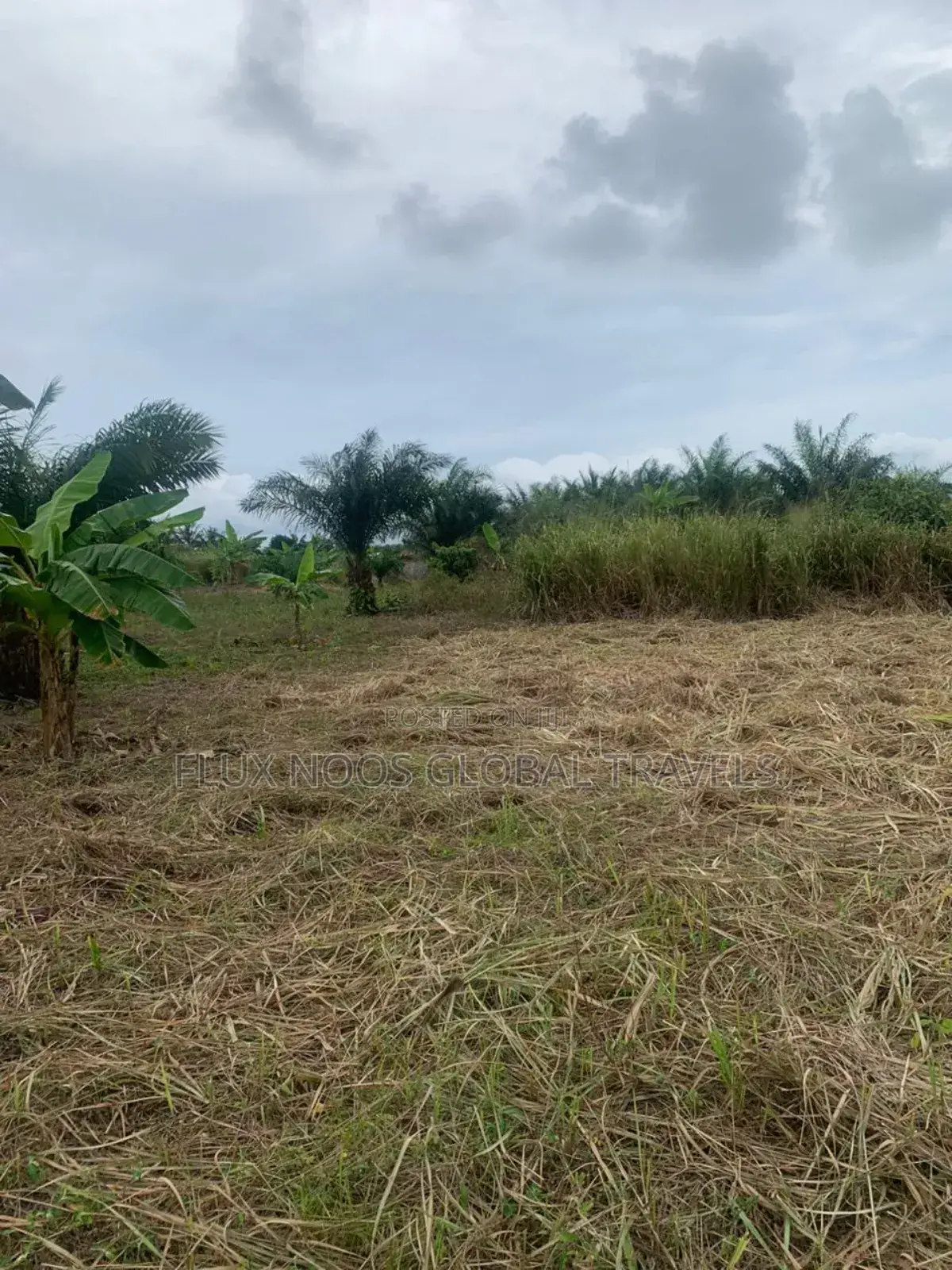 Titled Acres Lands Forsale at Amasaman.