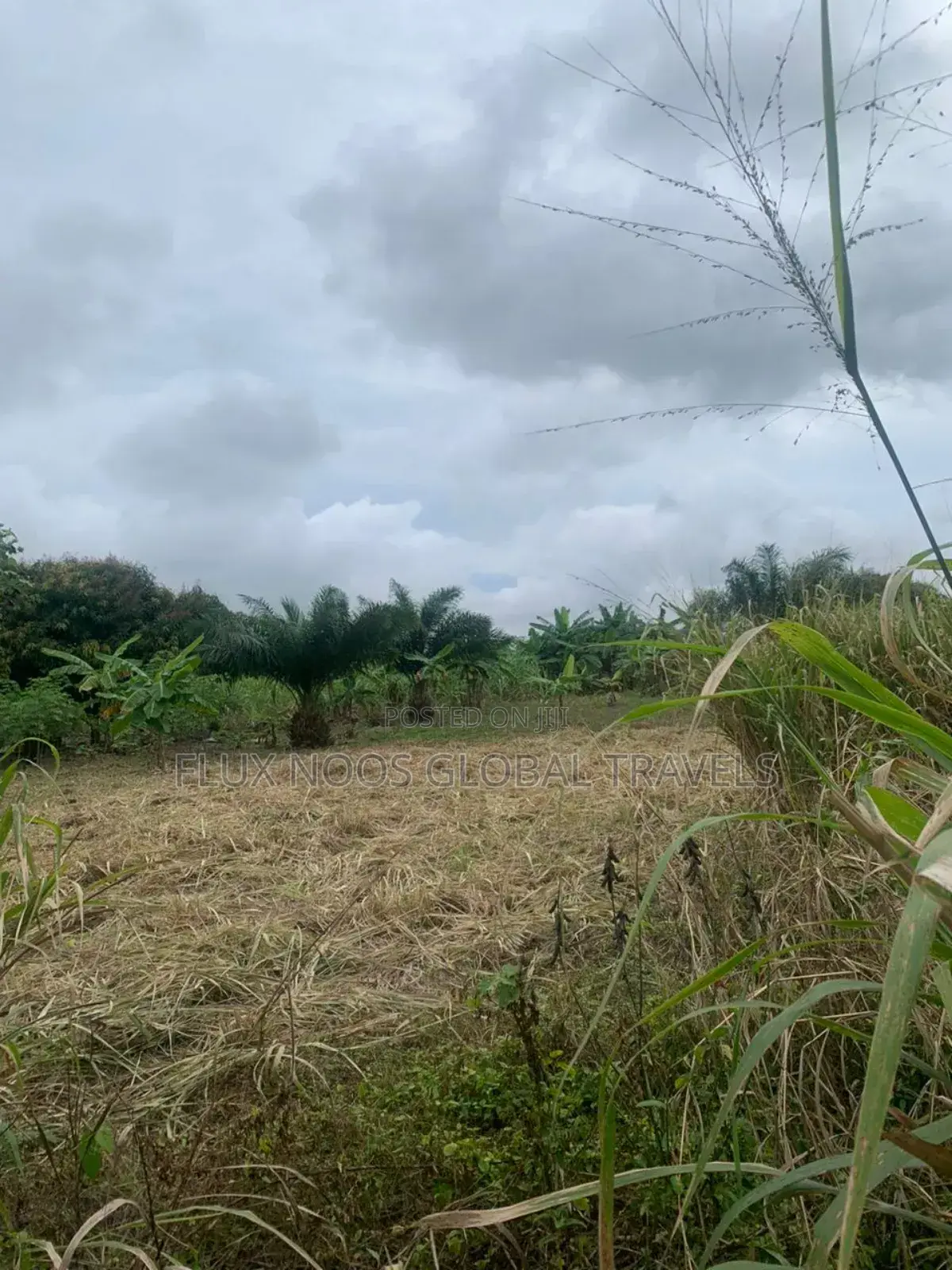 Titled Acres Lands Forsale at Amasaman.