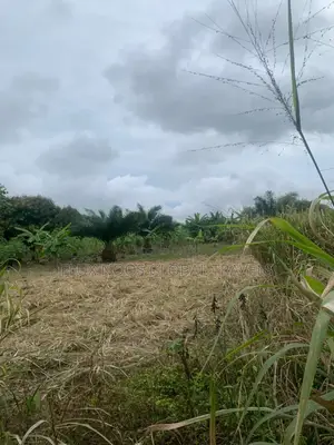 Titled Acres Lands Forsale at Amasaman.