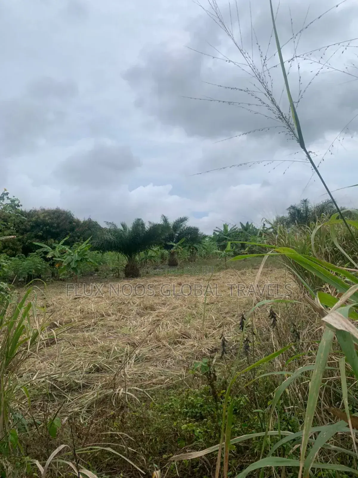 Titled Acres Lands Forsale at Amasaman.