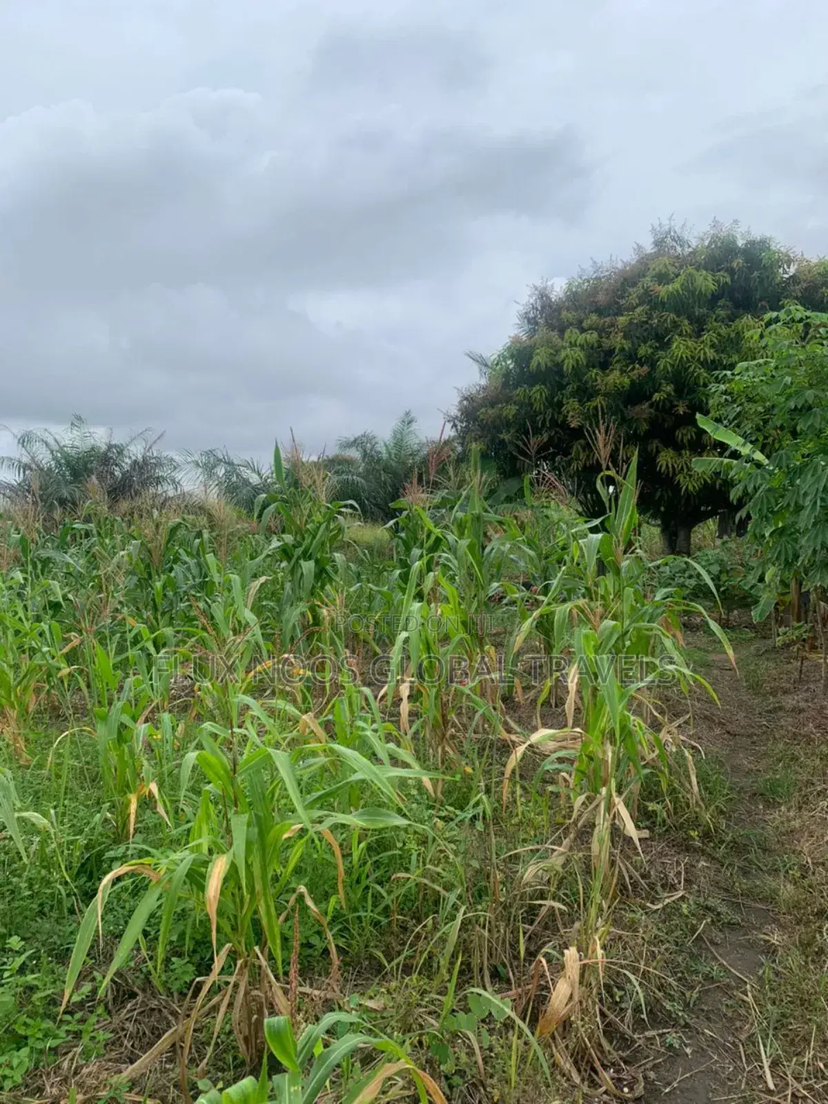Litigaion Free Lands for Sale. Indenture Available for You.