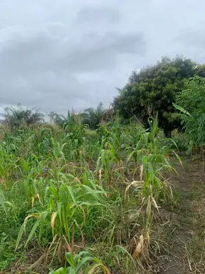 Litigaion Free Lands for Sale. Indenture Available for You.