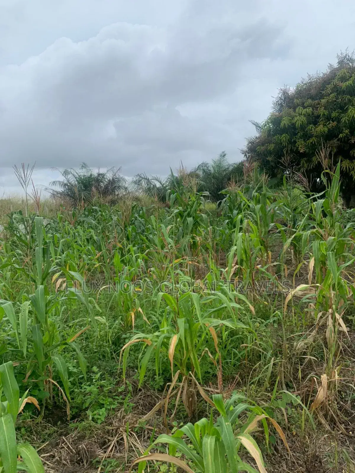 Litigaion Free Lands for Sale. Indenture Available for You.