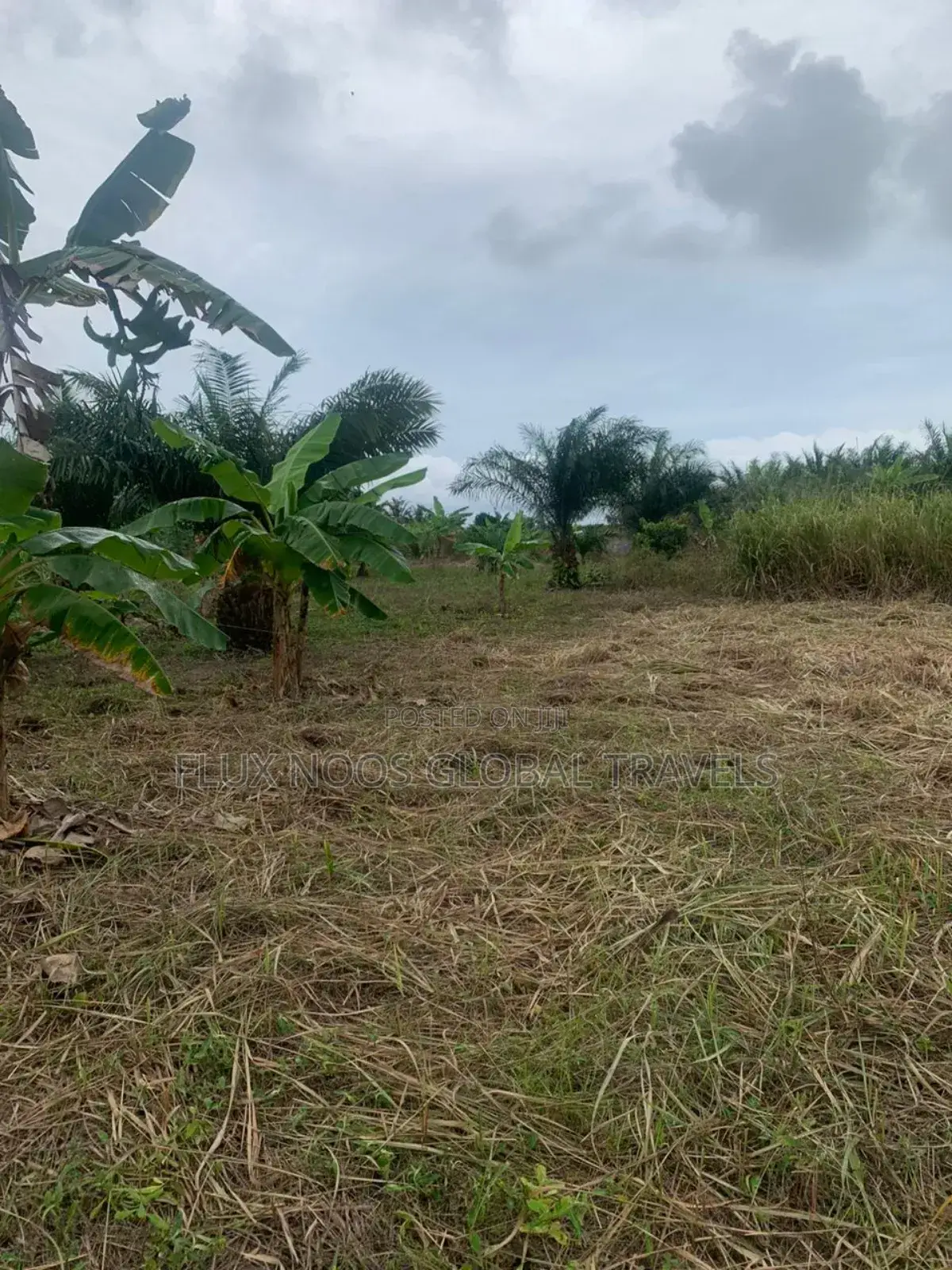 Litigaion Free Lands for Sale. Indenture Available for You.