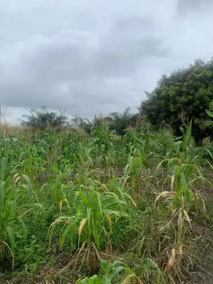 4 Walled Lands for Sale. Indenture Available
