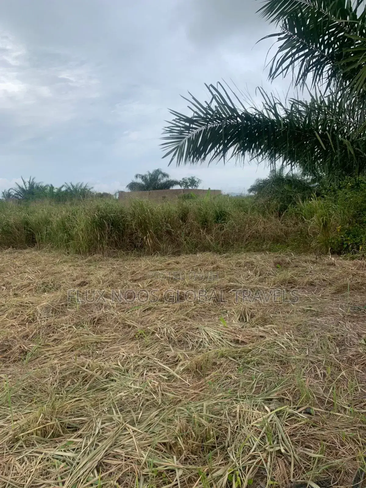 4 Walled Lands for Sale. Indenture Available