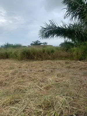 4 Walled Lands for Sale. Indenture Available
