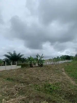 Fenced Lands for Sale Indenture Available Amasaman Ayikai Doblo