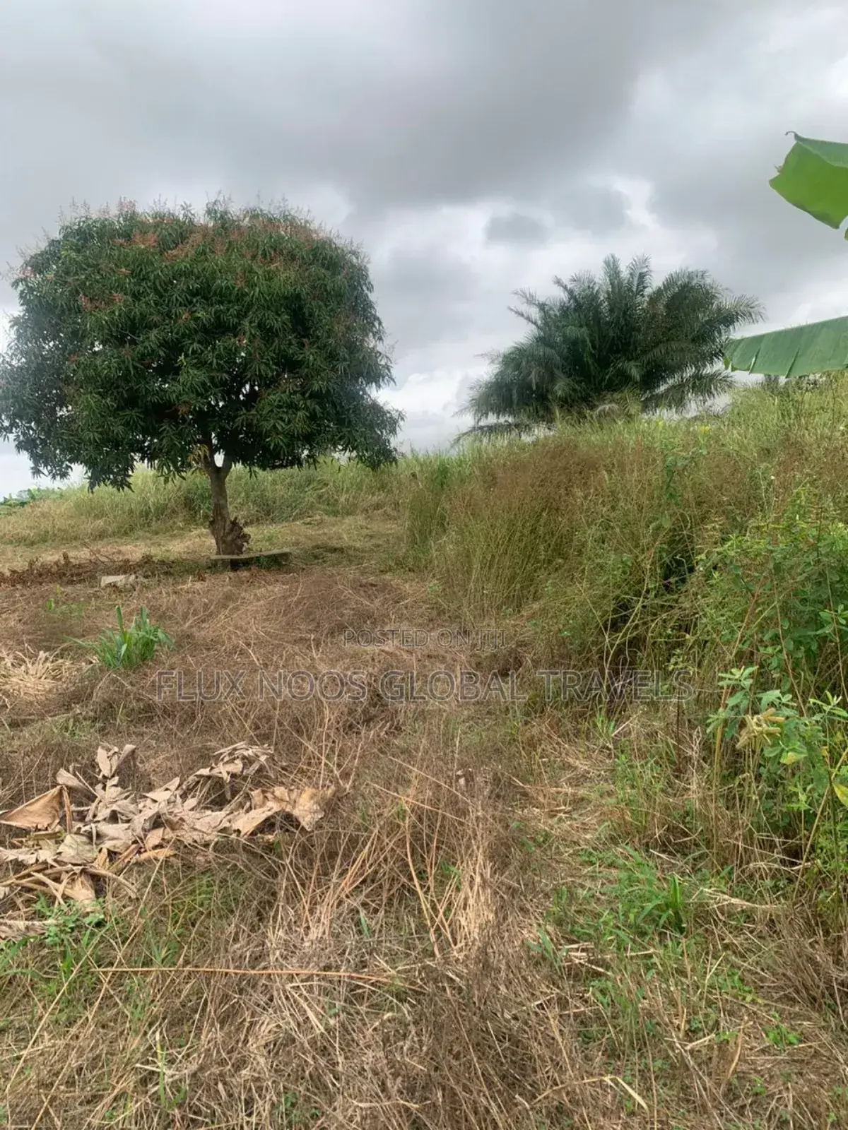 Walled and Gated Land for Sale. Indenture Available
