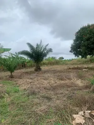 Walled and Gated Land for Sale. Indenture Available