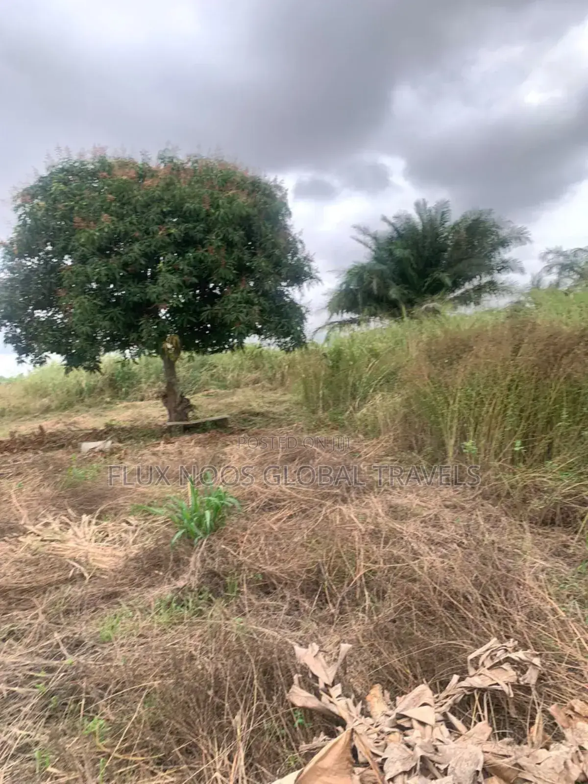 Walled and Gated Land for Sale. Indenture Available