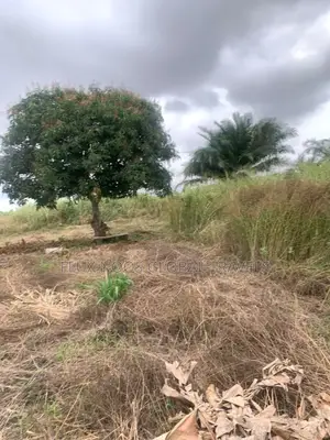 Walled and Gated Land for Sale. Indenture Available