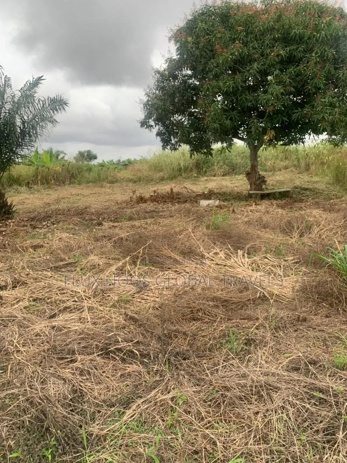 Walled and Gated Land for Sale. Indenture Available