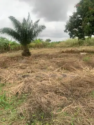 Registered Litigation Free Plots of Land for Sale.